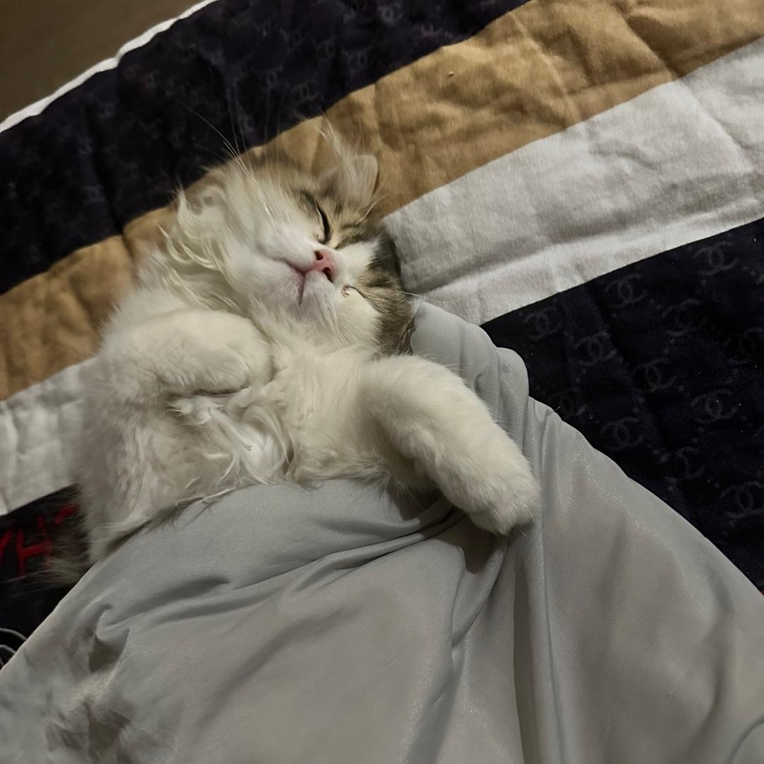 🌈🌈🌈🌈🌈🌈执念太深丶