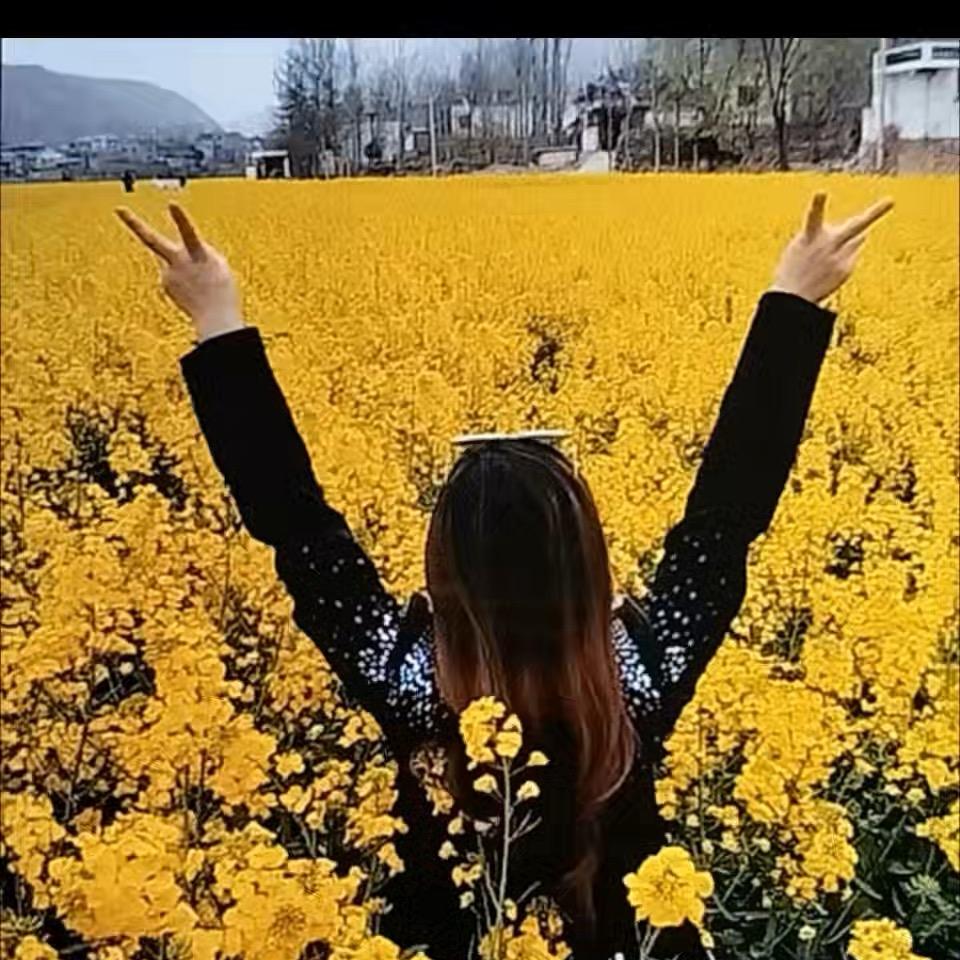 燕子❤️