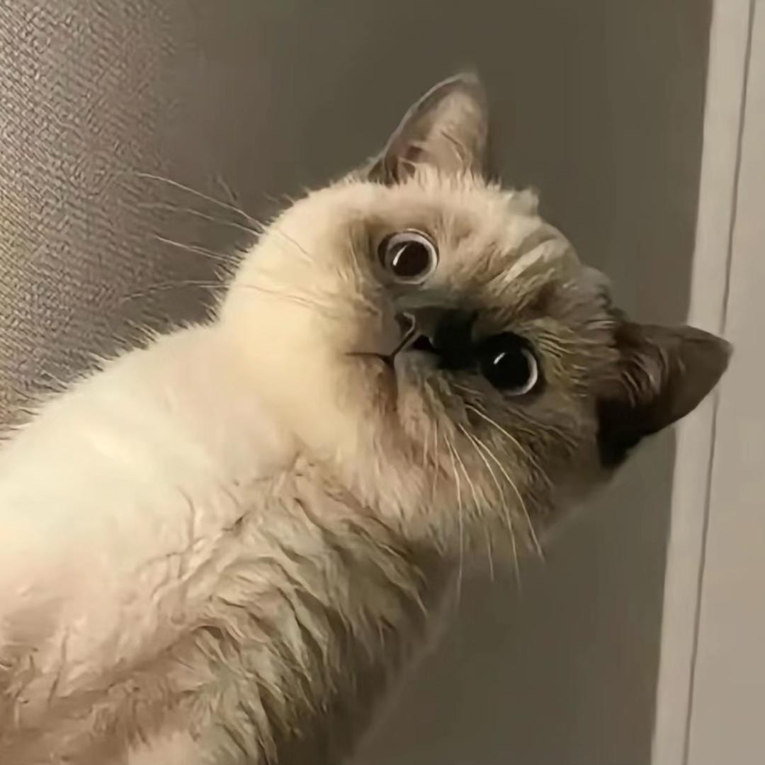 青梅