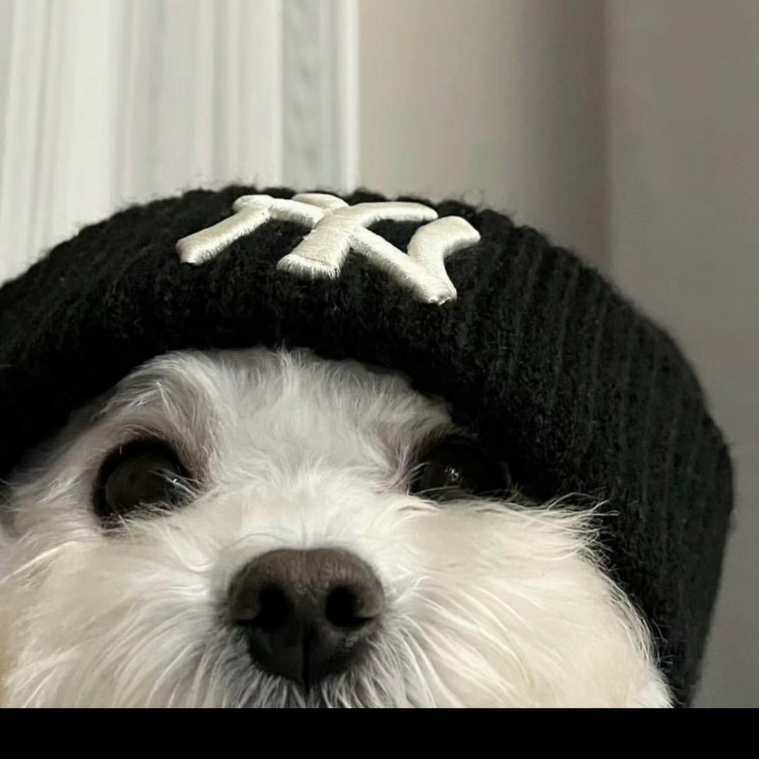 阿露露（暴力捡脂中）