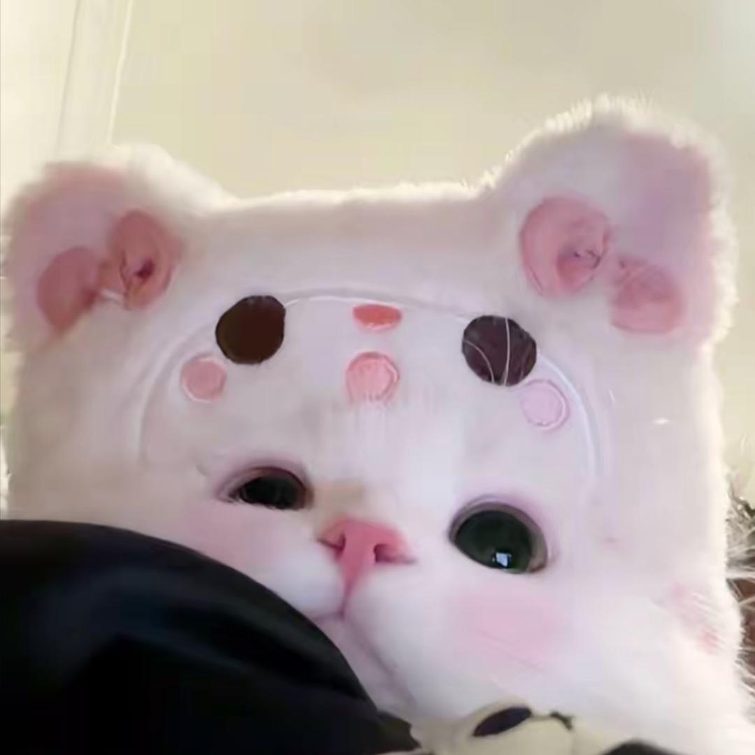 莫得感情的小朱