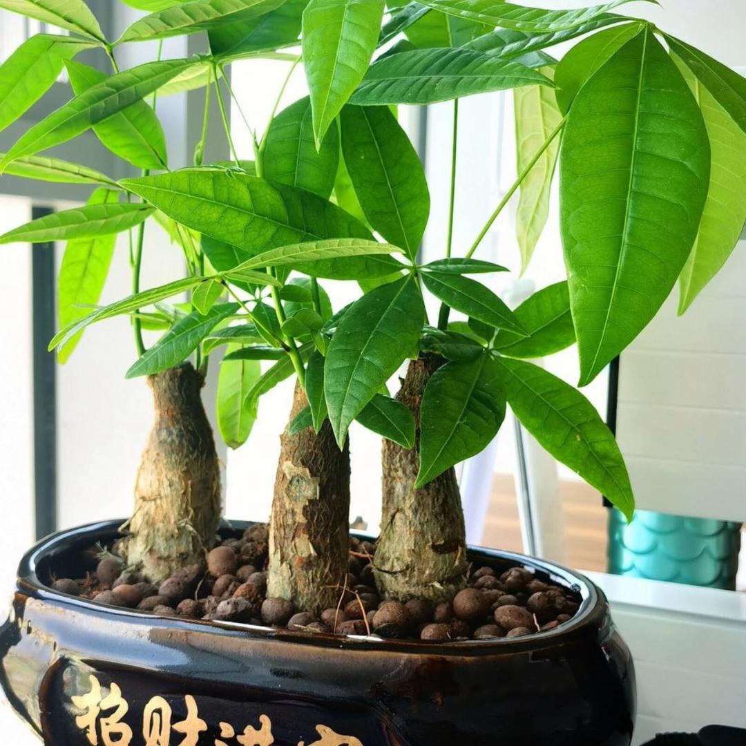 岁月静好💕