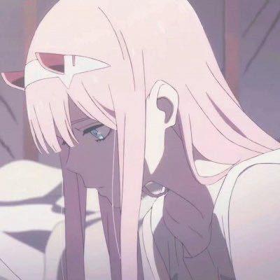 一只野生的郭爆爆🌙