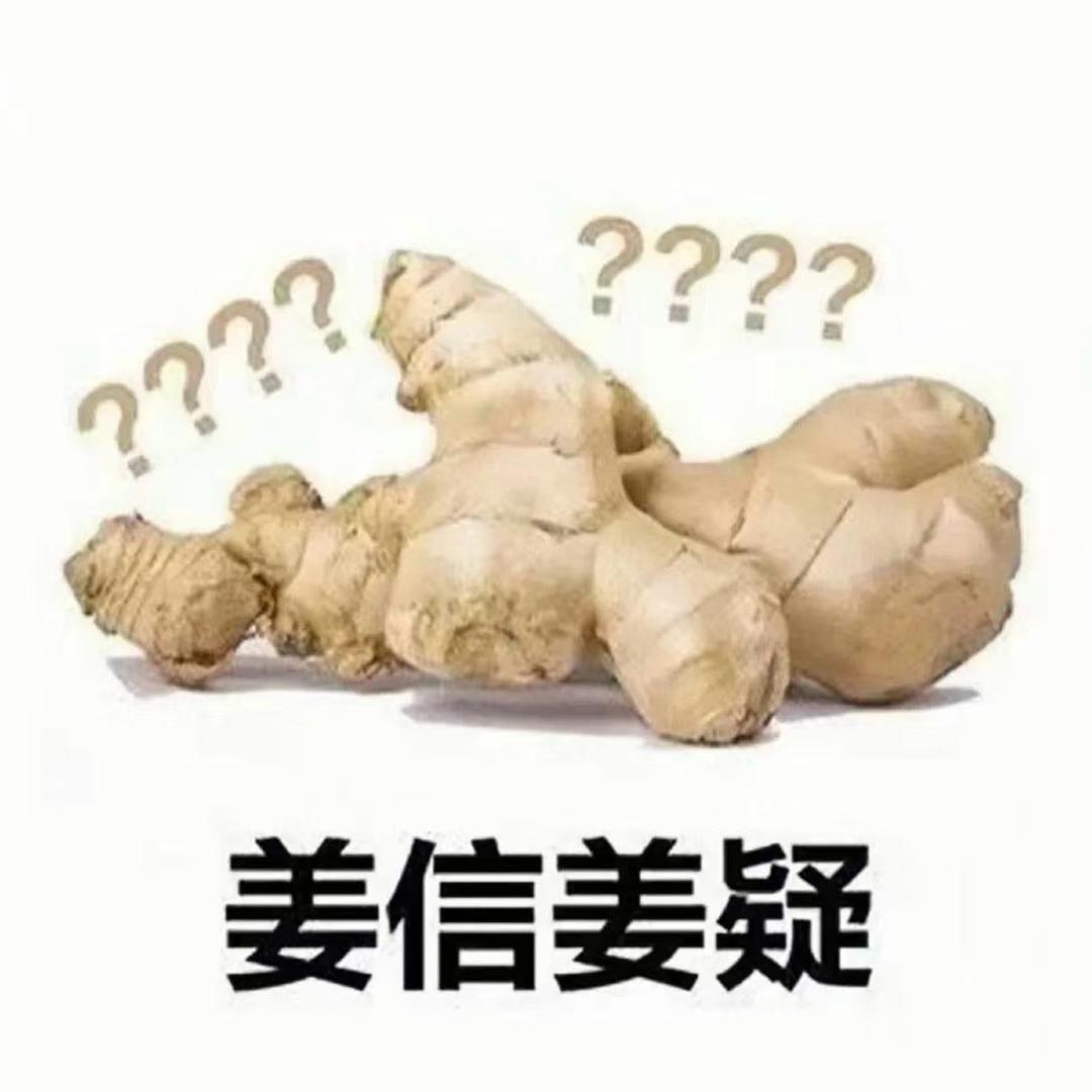 姜信姜疑