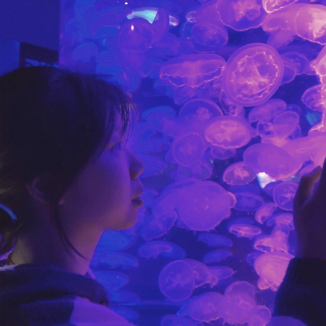 小羊代码没有bug