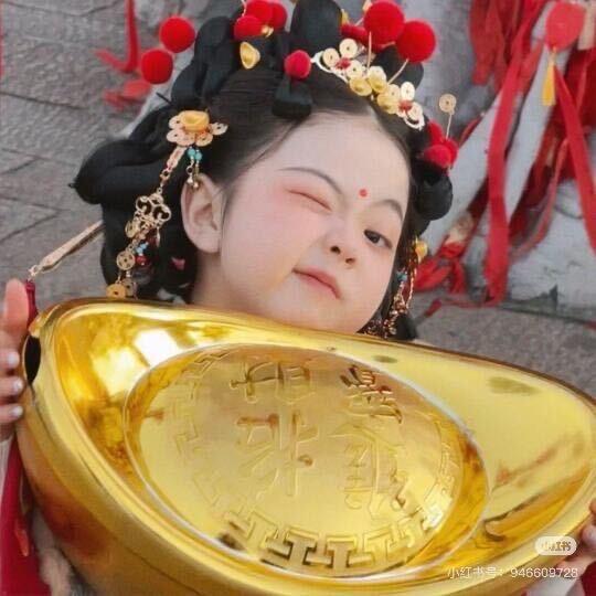 转转猪🐷