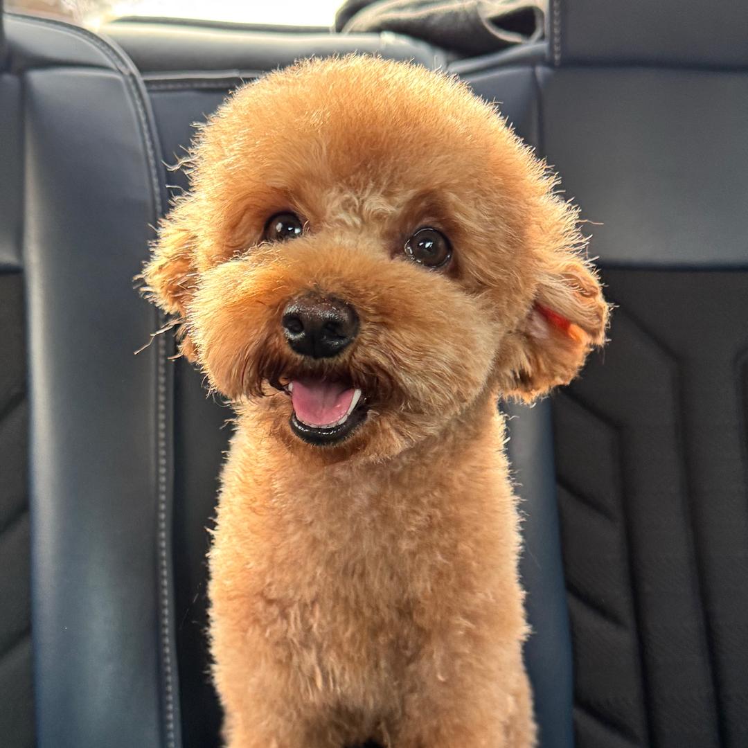 小薛（热爱生活版）🦦