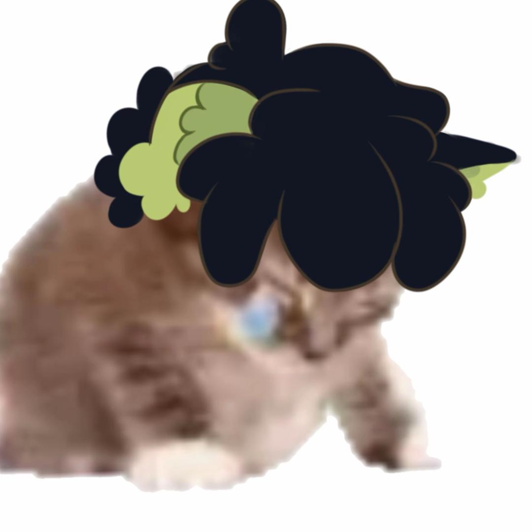 案同