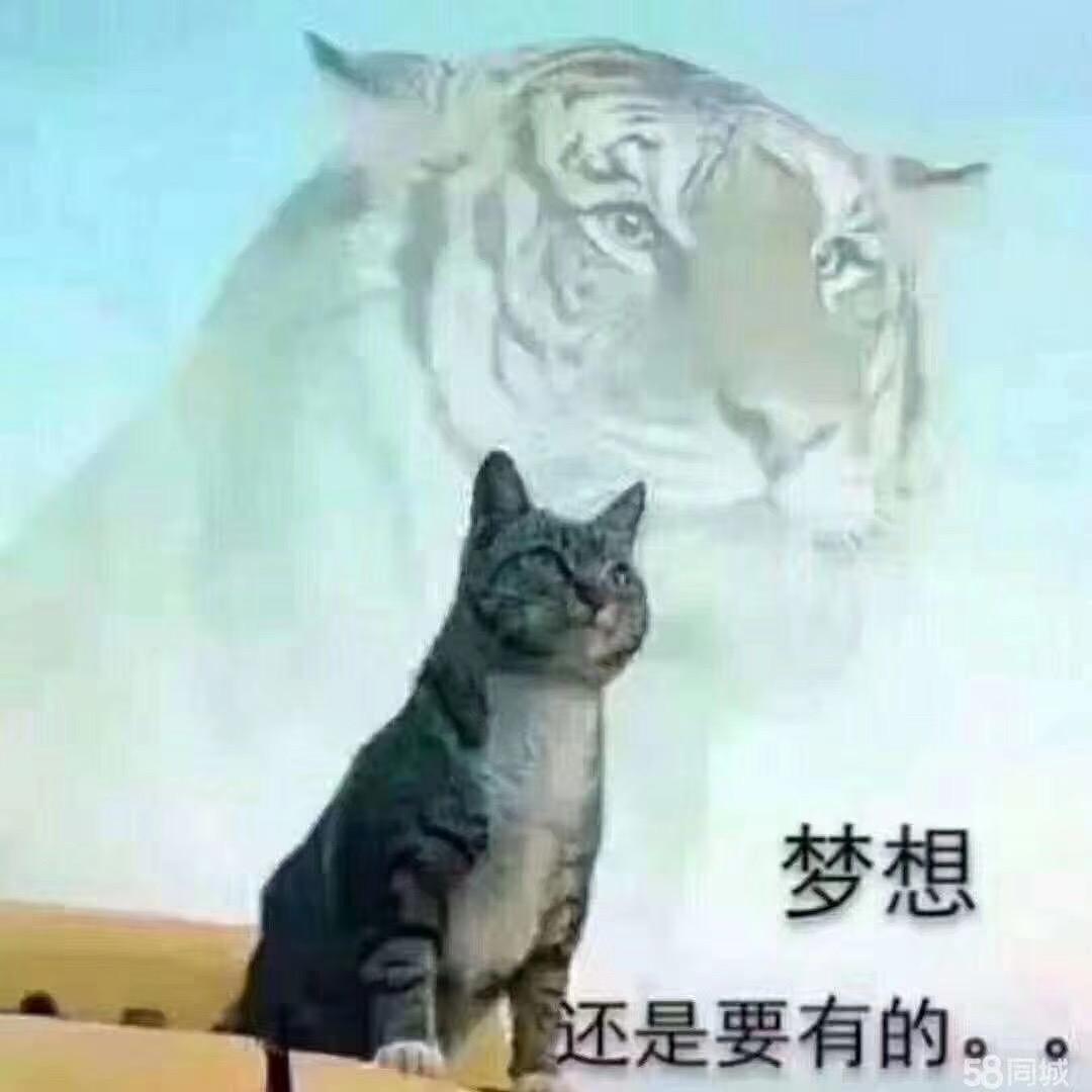 🍼🍼萬年😂😂