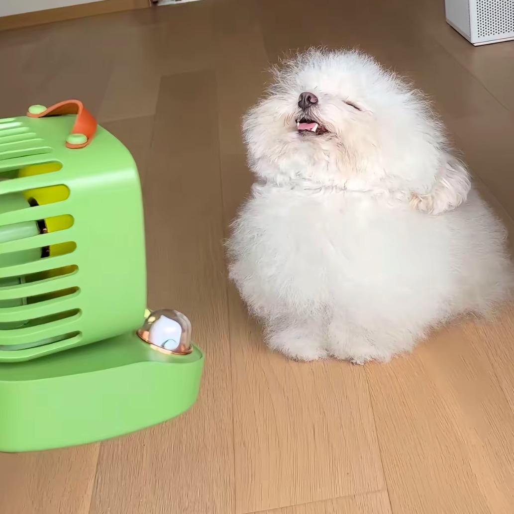 火爆辣条