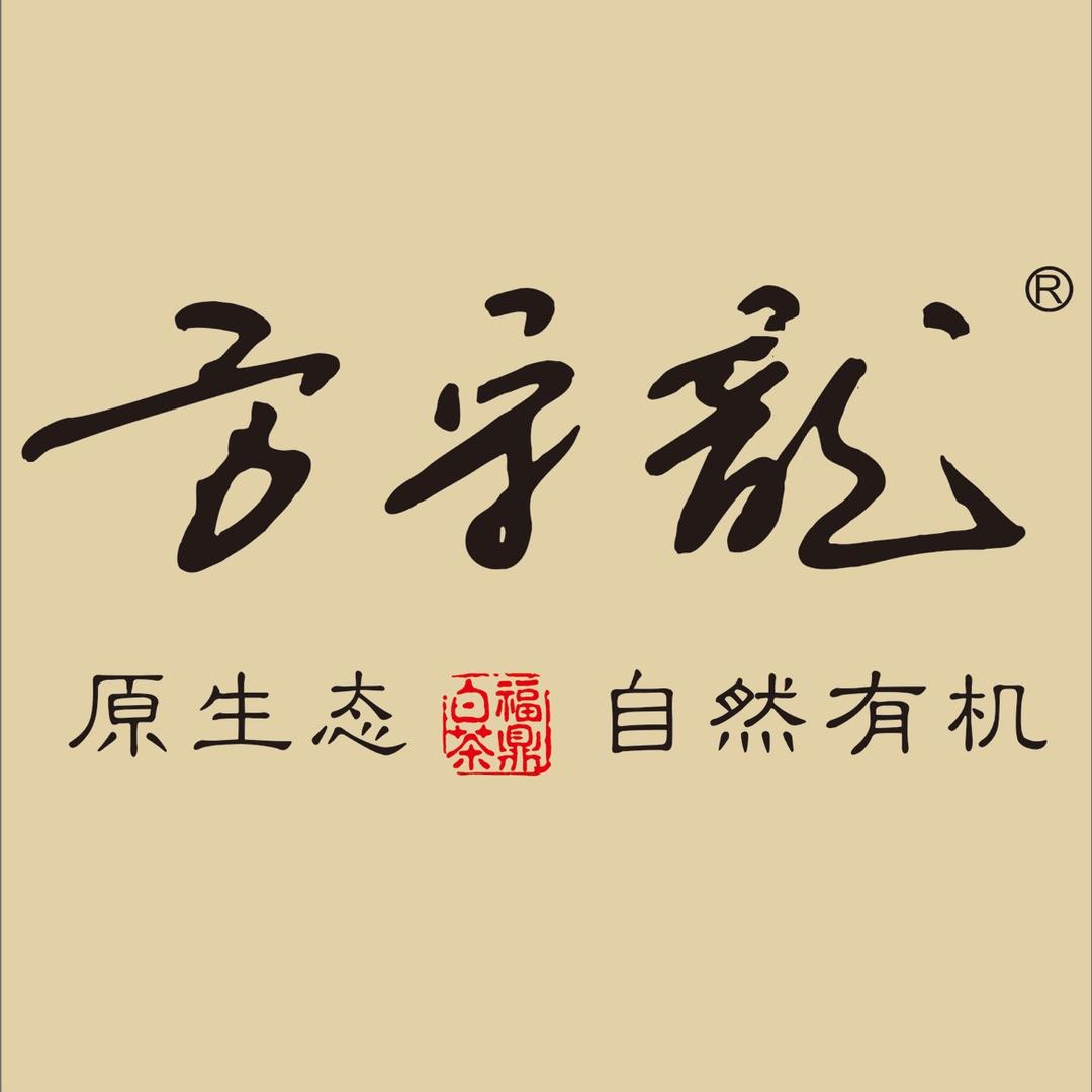 方守龙白茶运营中心1