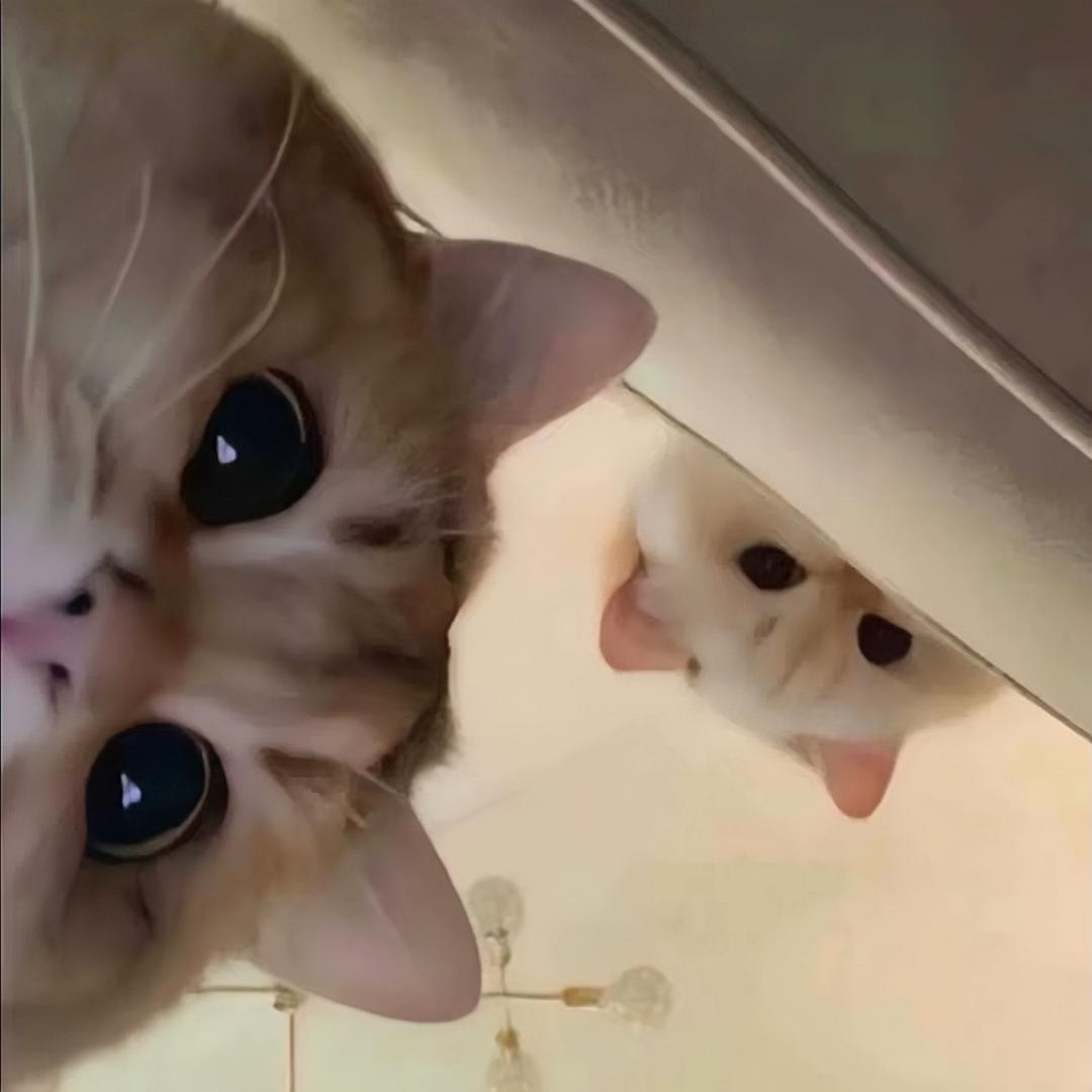 记怡中的你^
