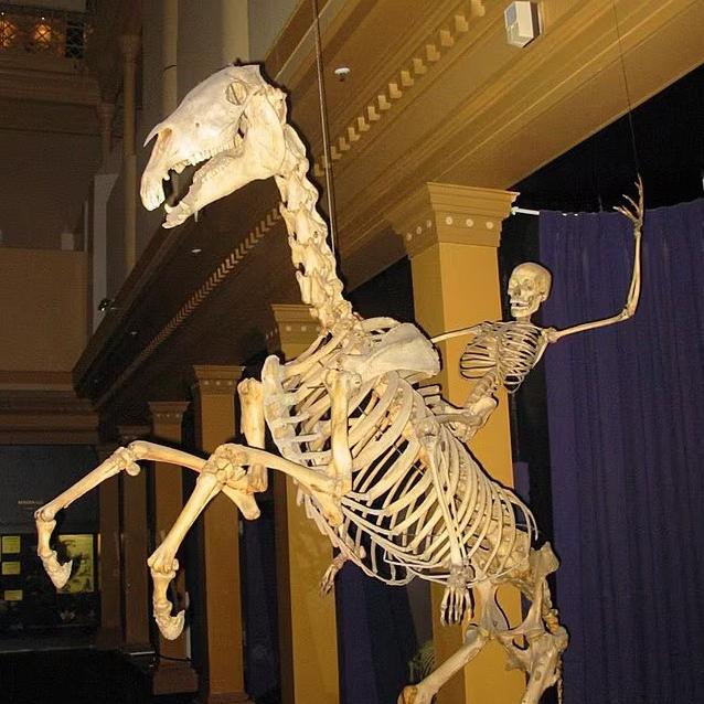 753951
