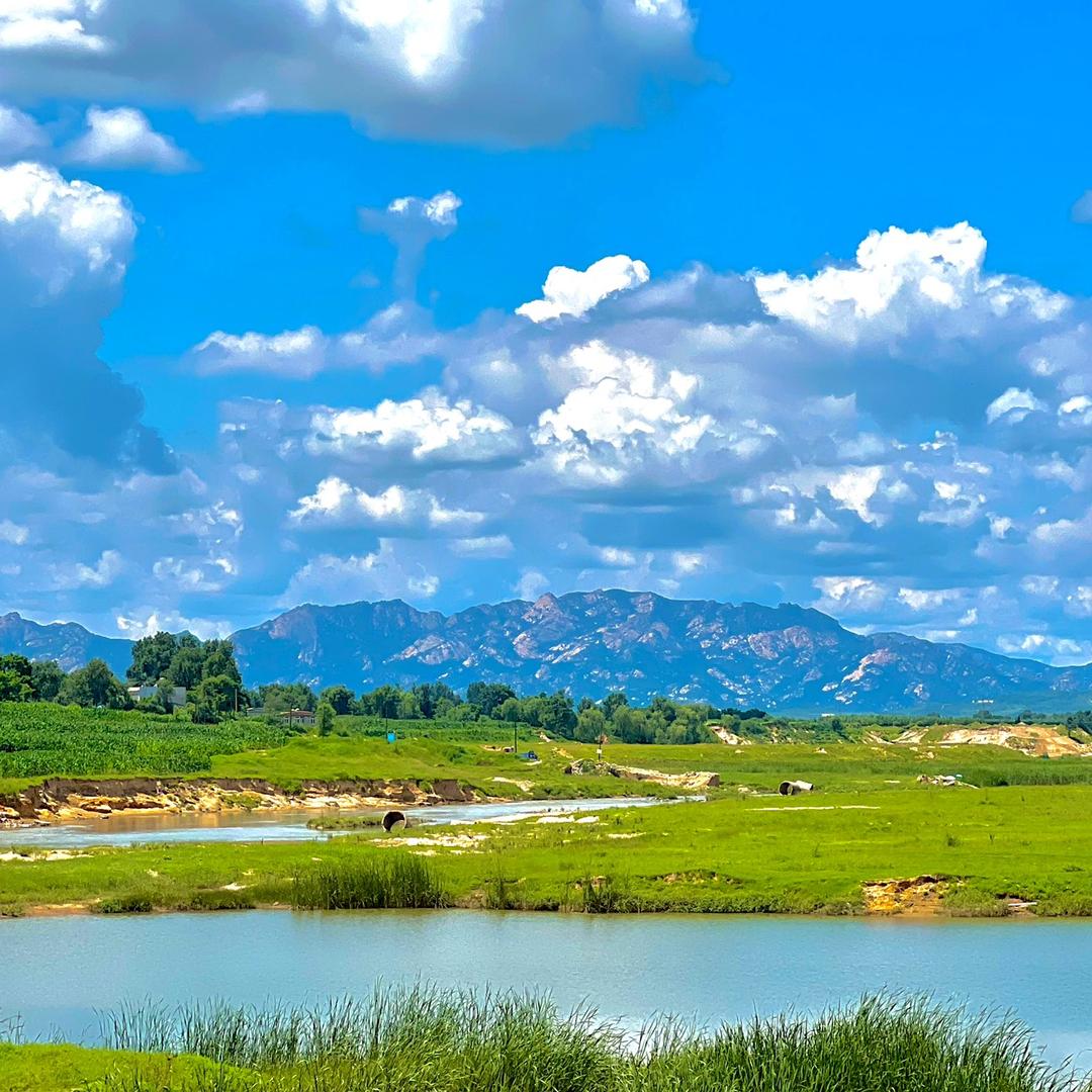 免费咨询不培训