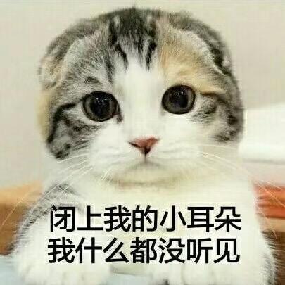 胖妞