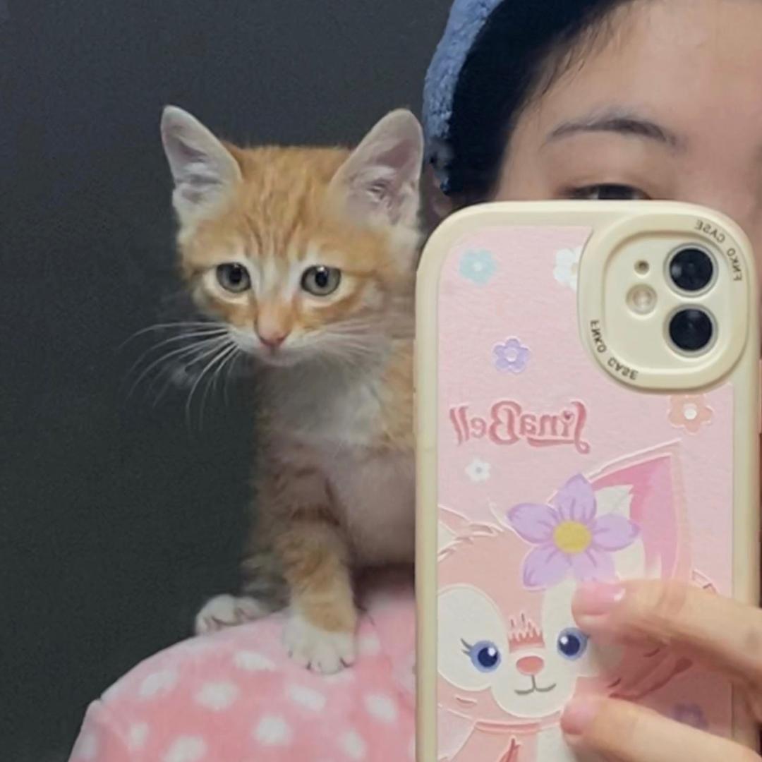 点点日记🐈