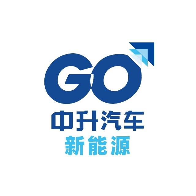 中升汽车-新能源