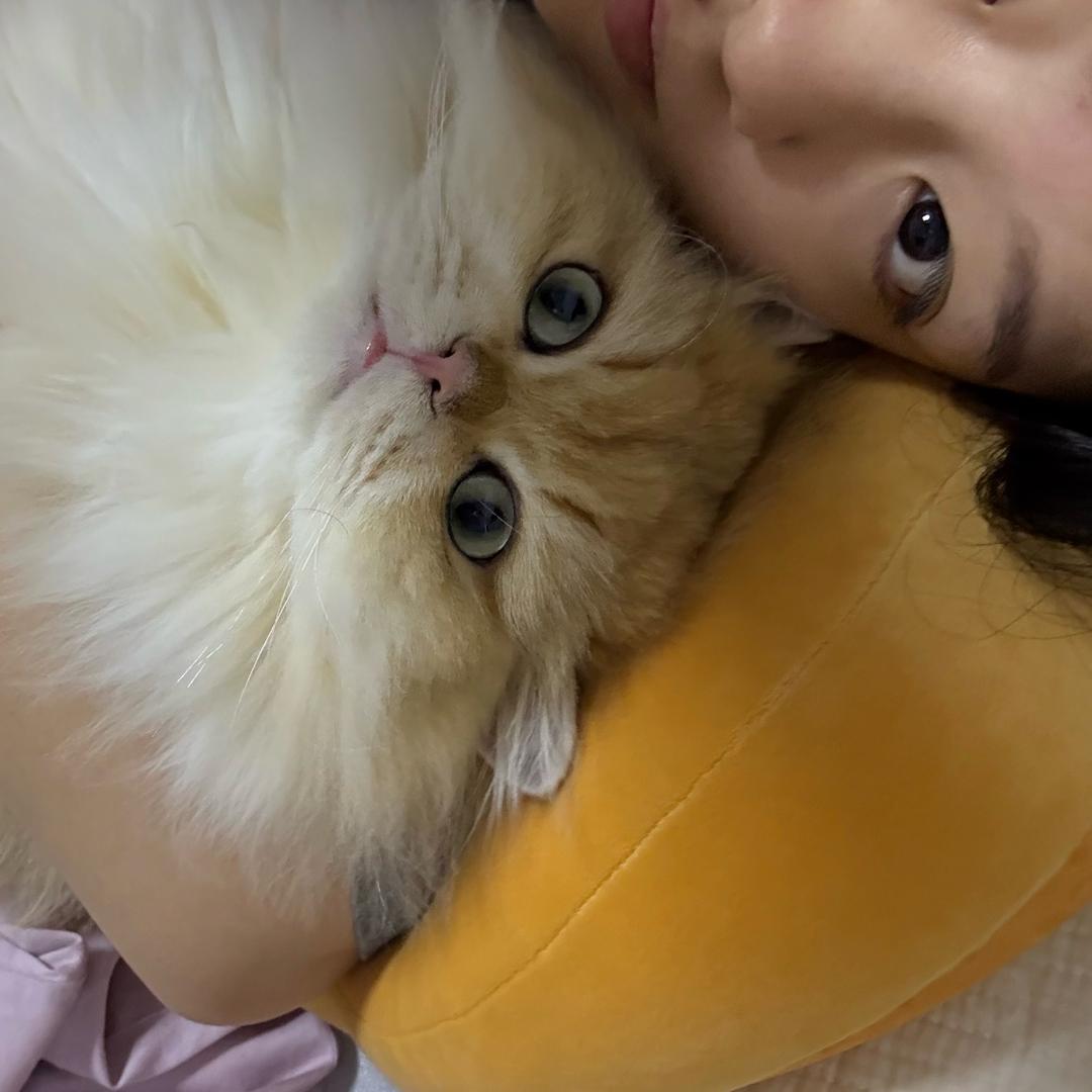 小凌和阿锤