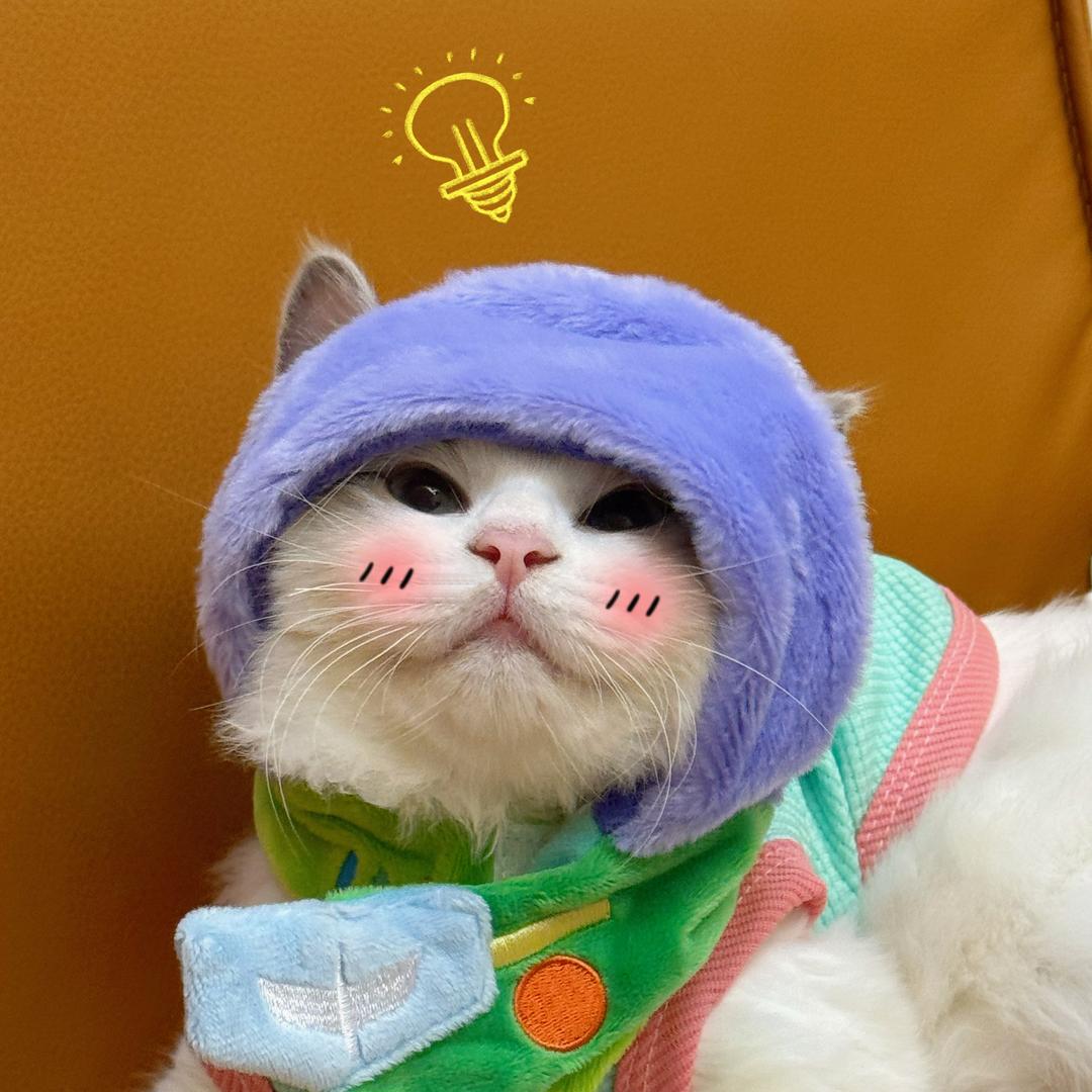 丫鸭D