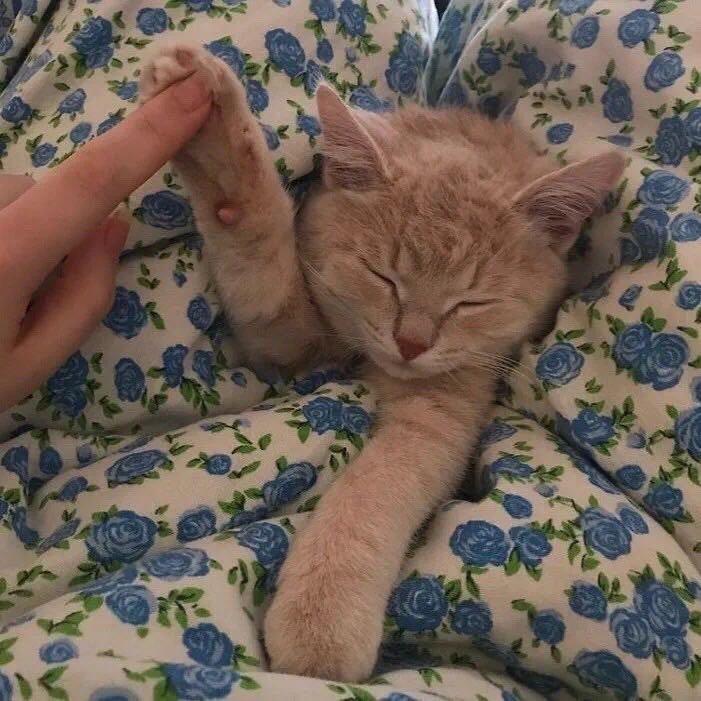 🍓