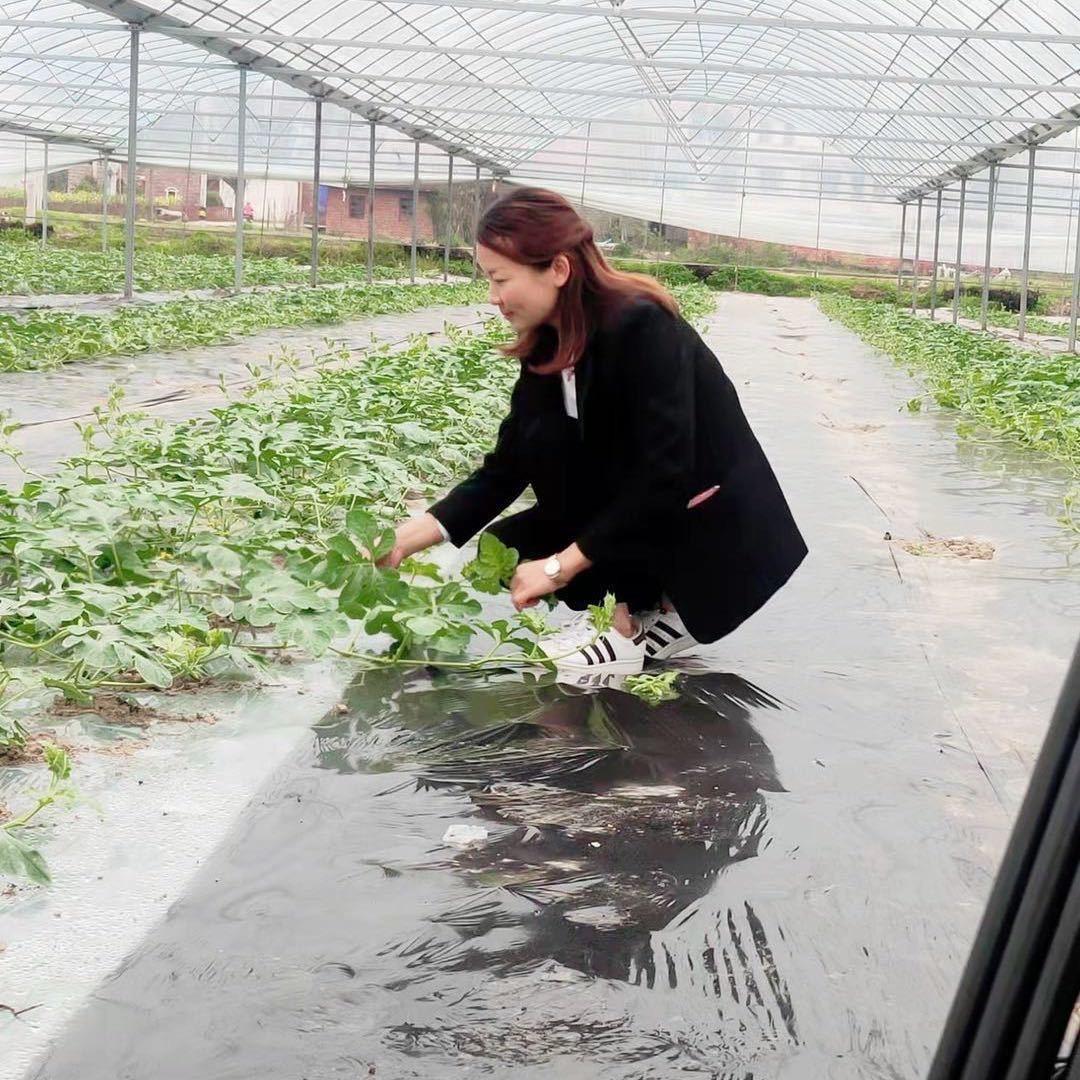 秀秀西瓜羊肚菌