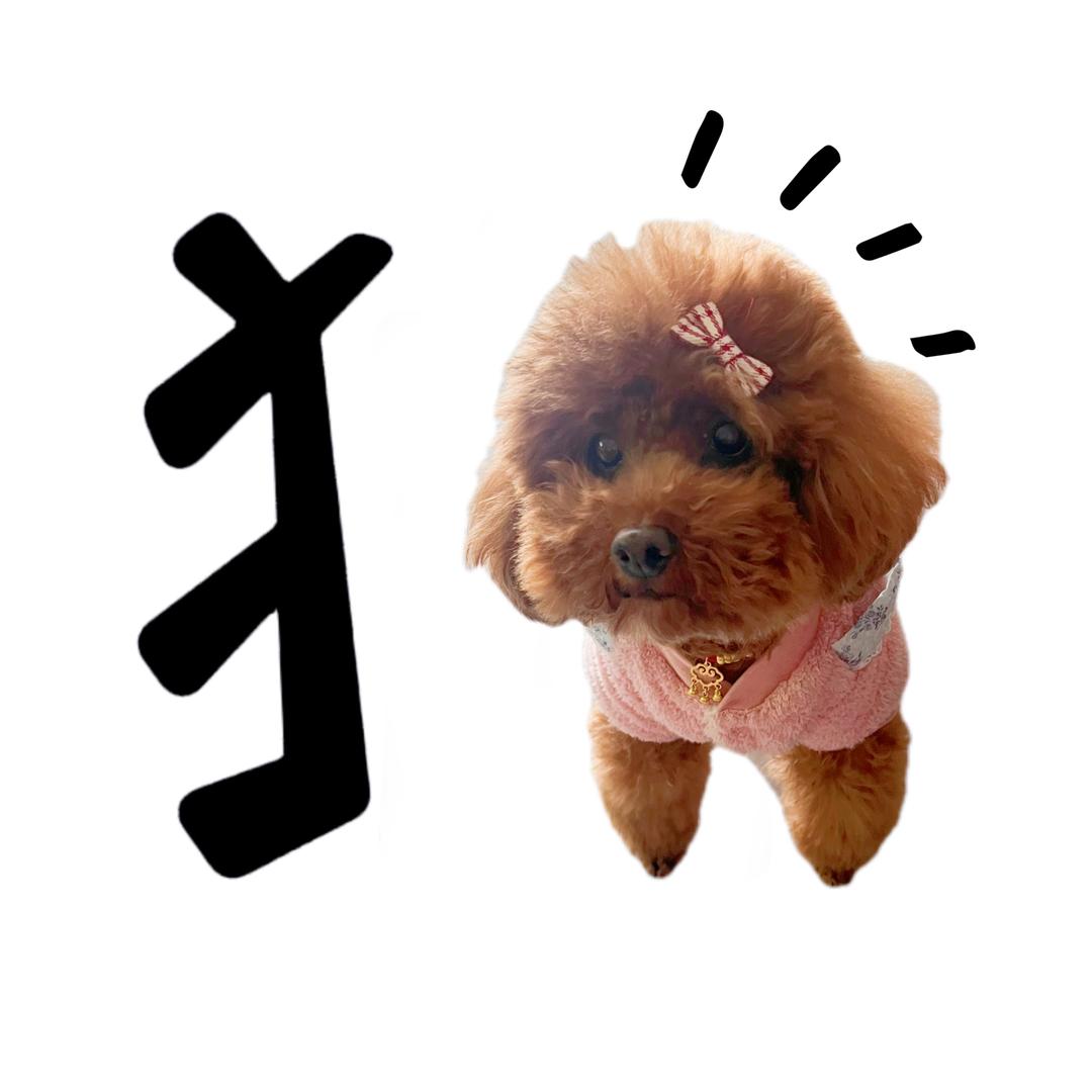 A-zlp