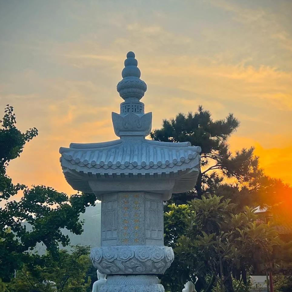 深水区的鱼