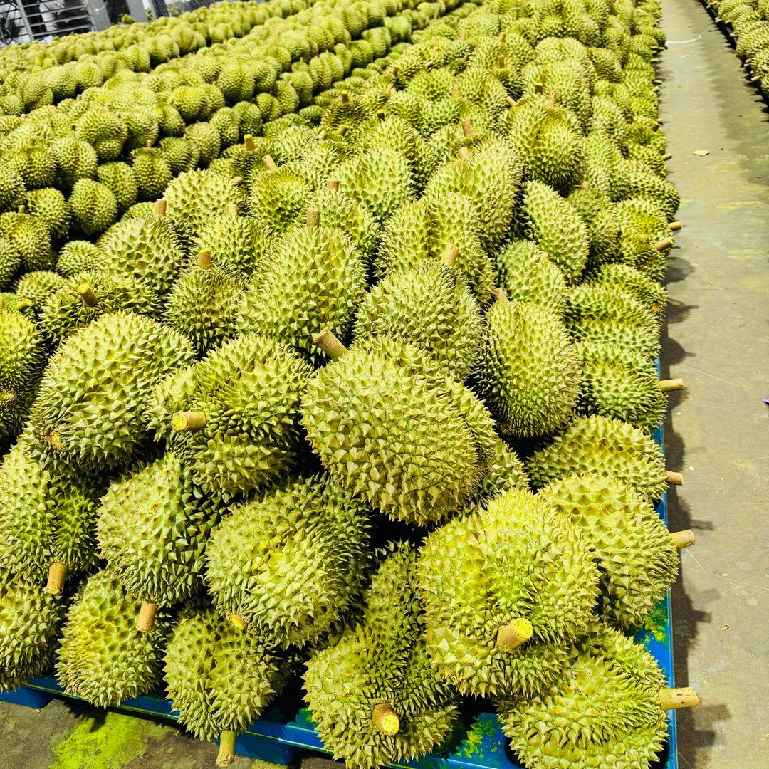 宏晟进出口有限公司