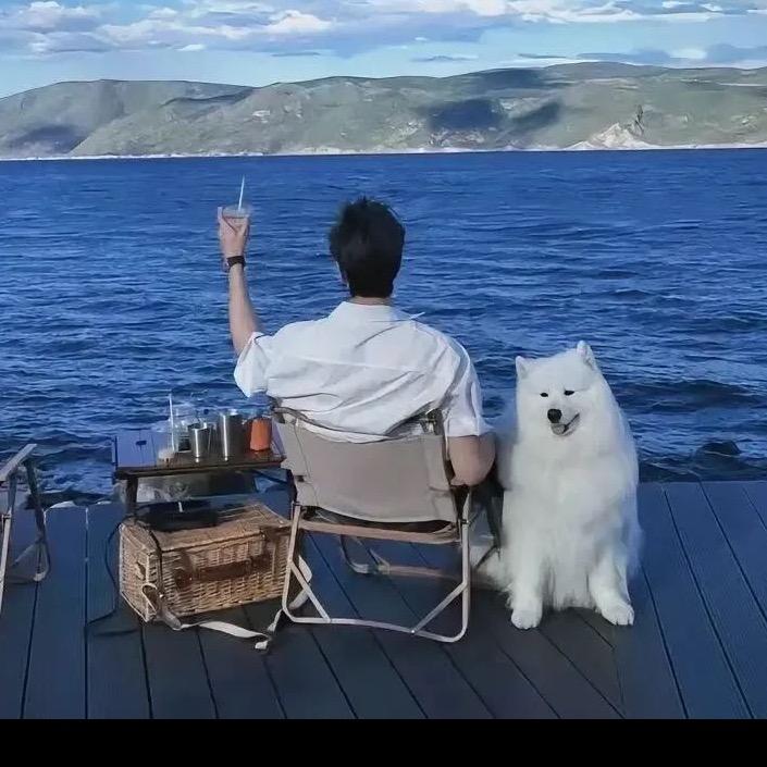 阿阳在努力