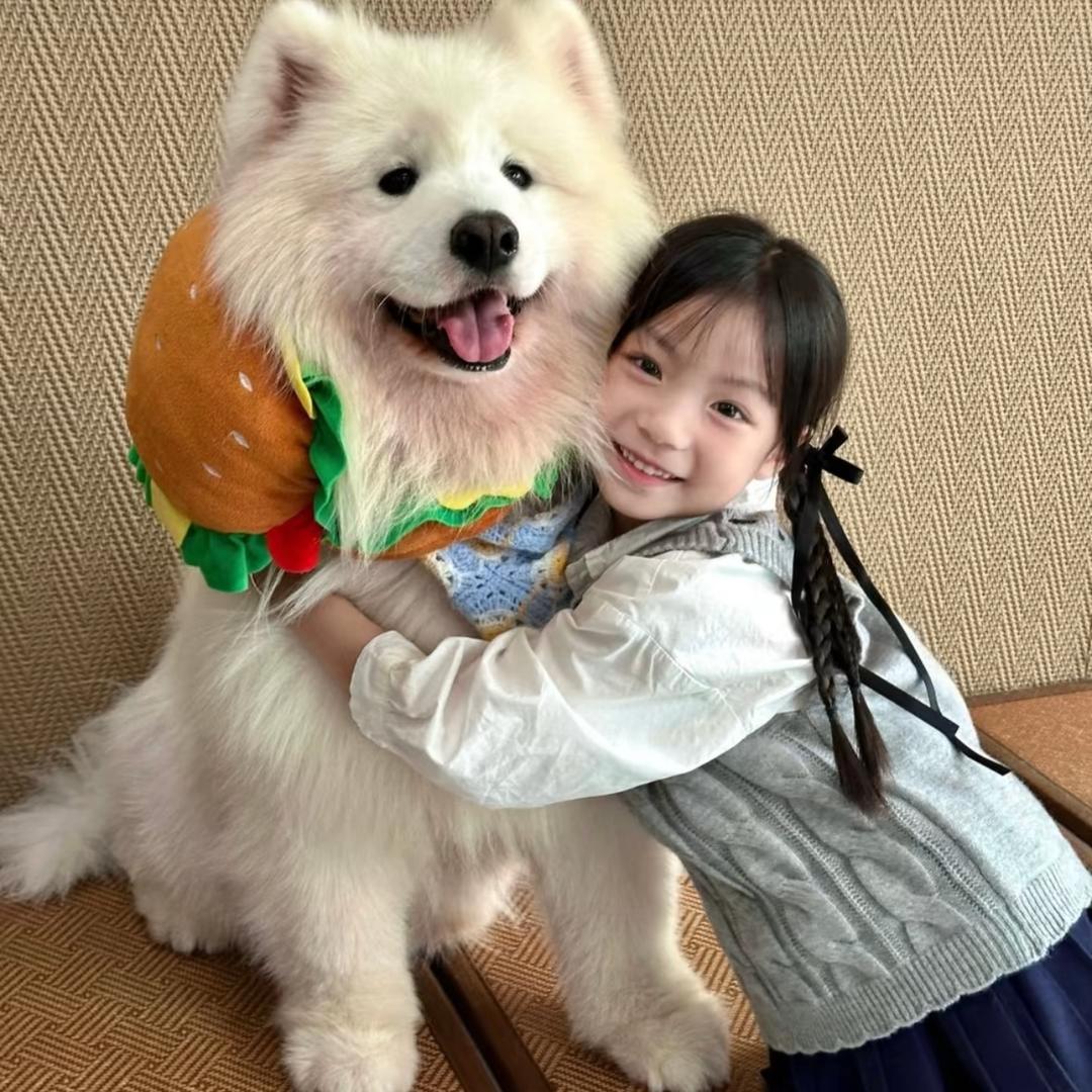 麦麦Y^