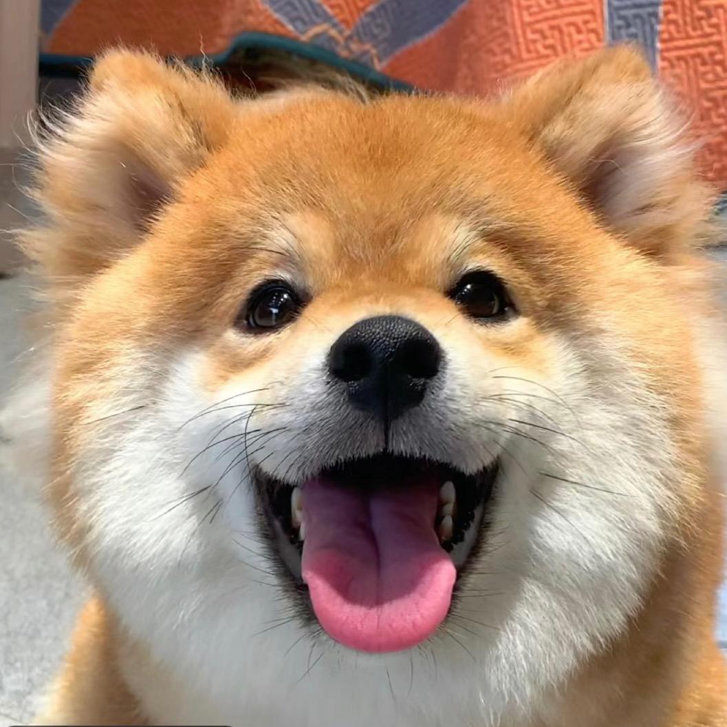 叫我小咖喱