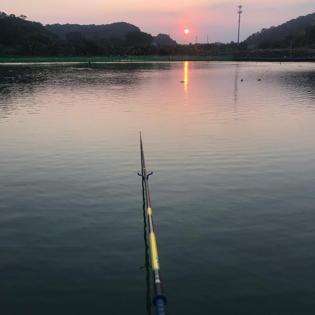 晒呆了 🐟🐟🐟