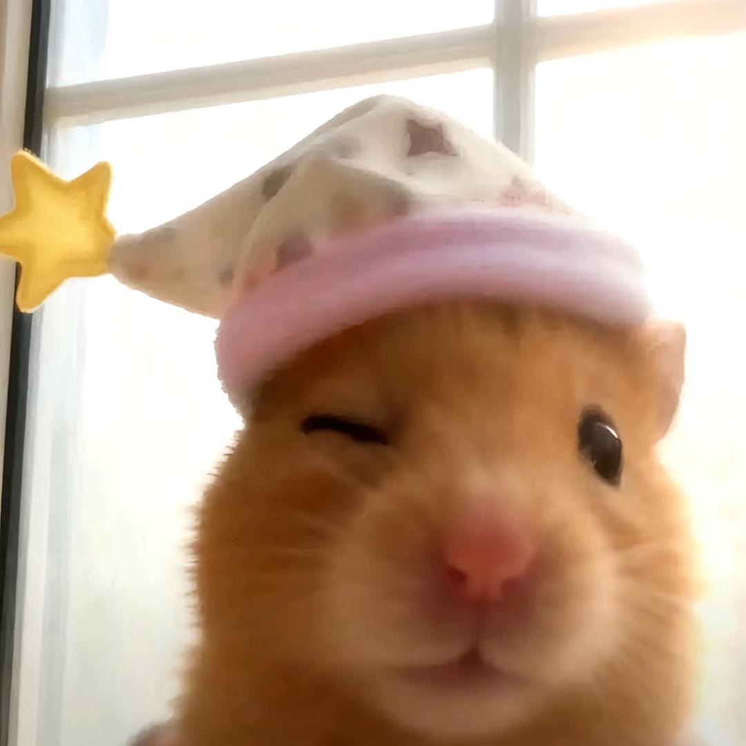 甜菜