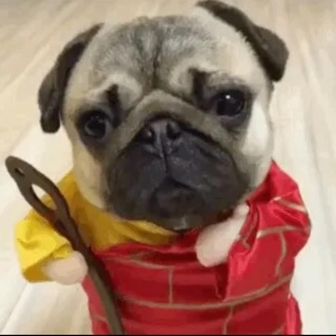 煮饭吃饱饿了再吃