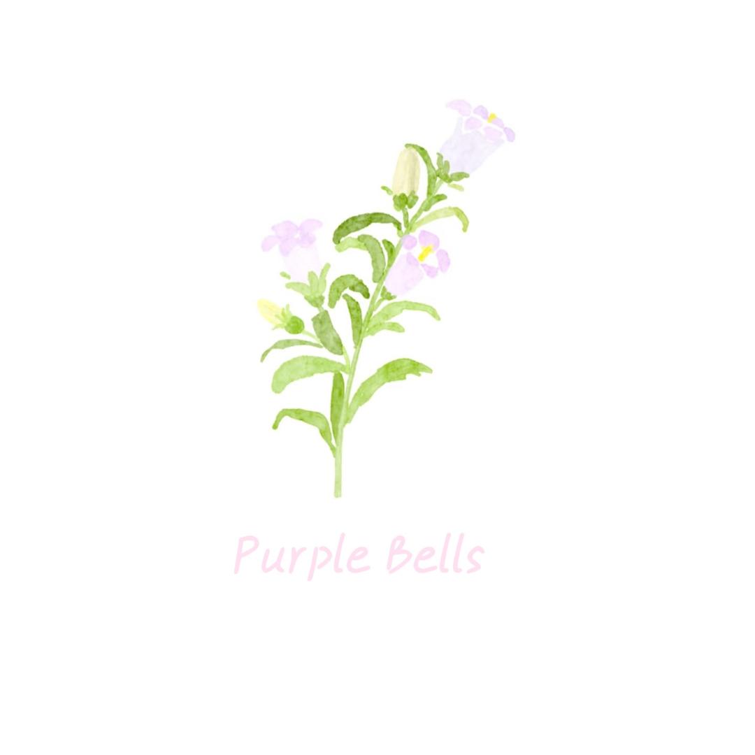 PurpleBells🎐