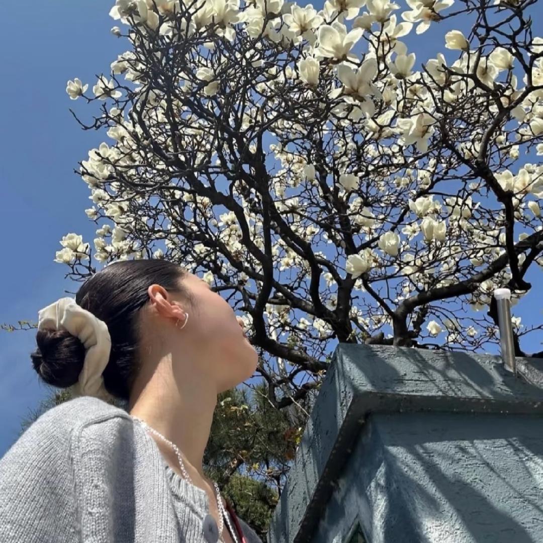 ·🌻幼稚园里的梵高的梦🫧