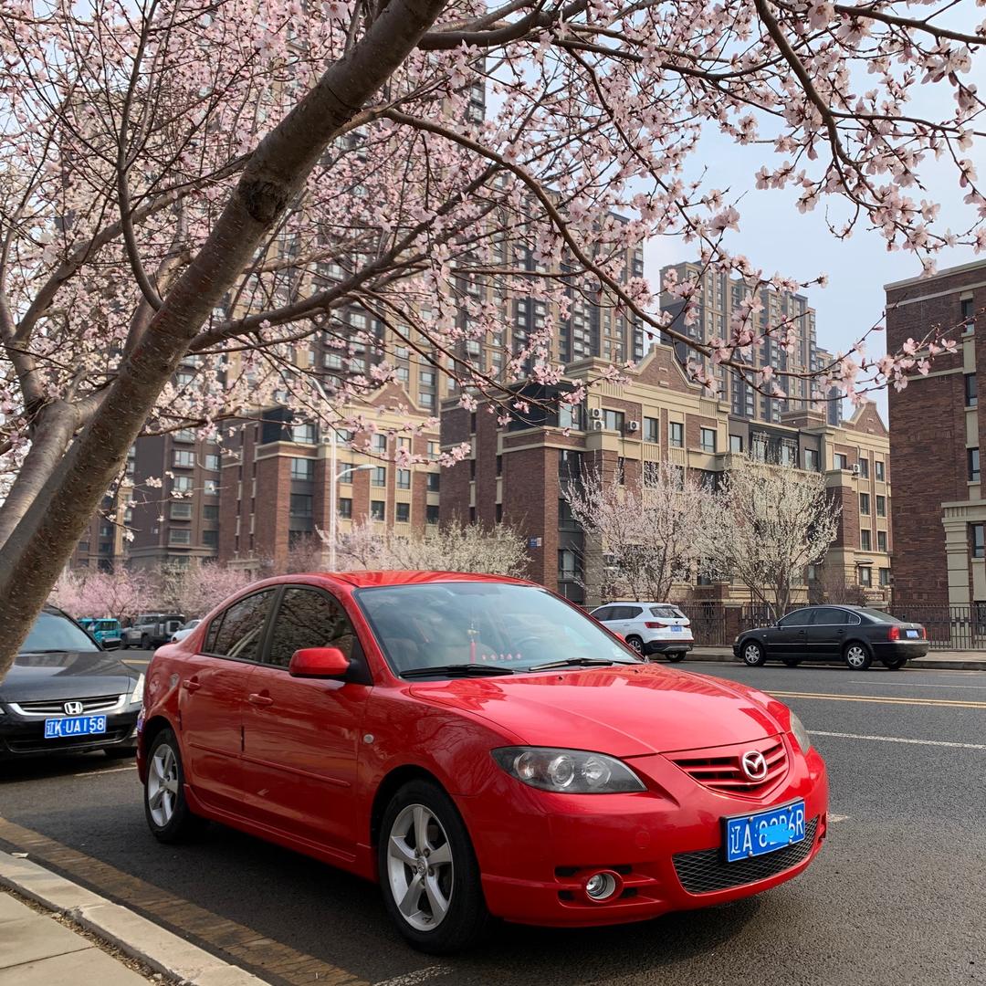 爱讲外语的托尼老师