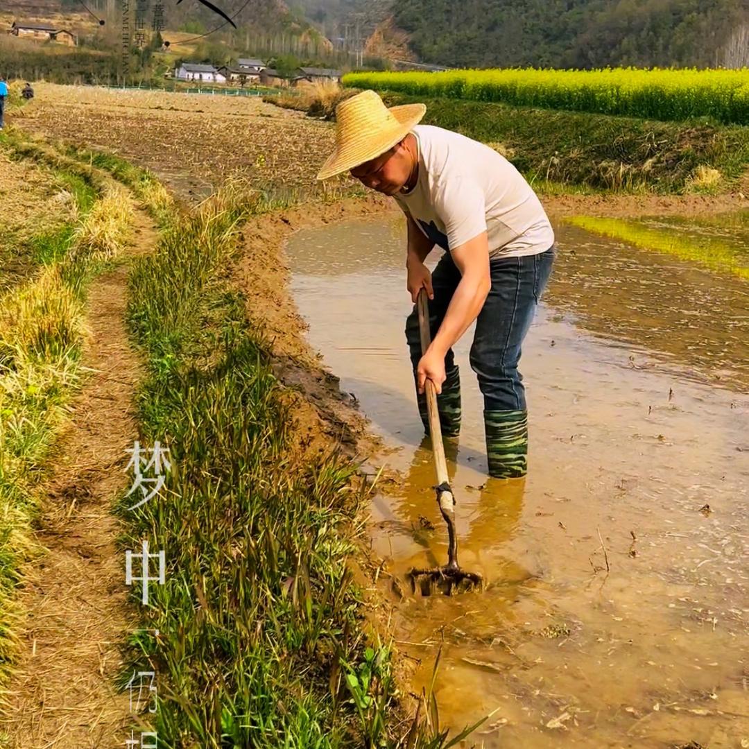 农村小王
