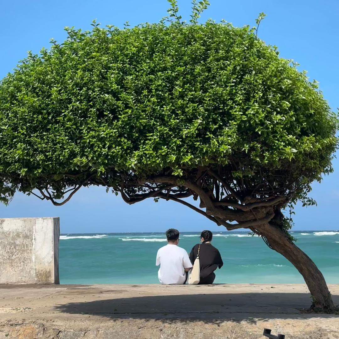 越南阿棒