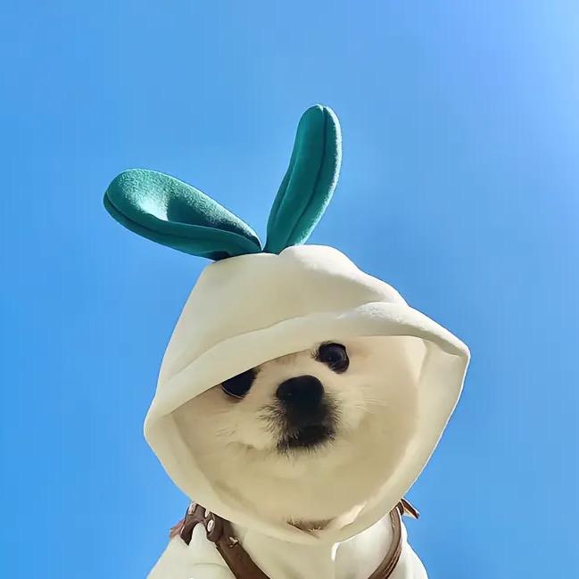 林红