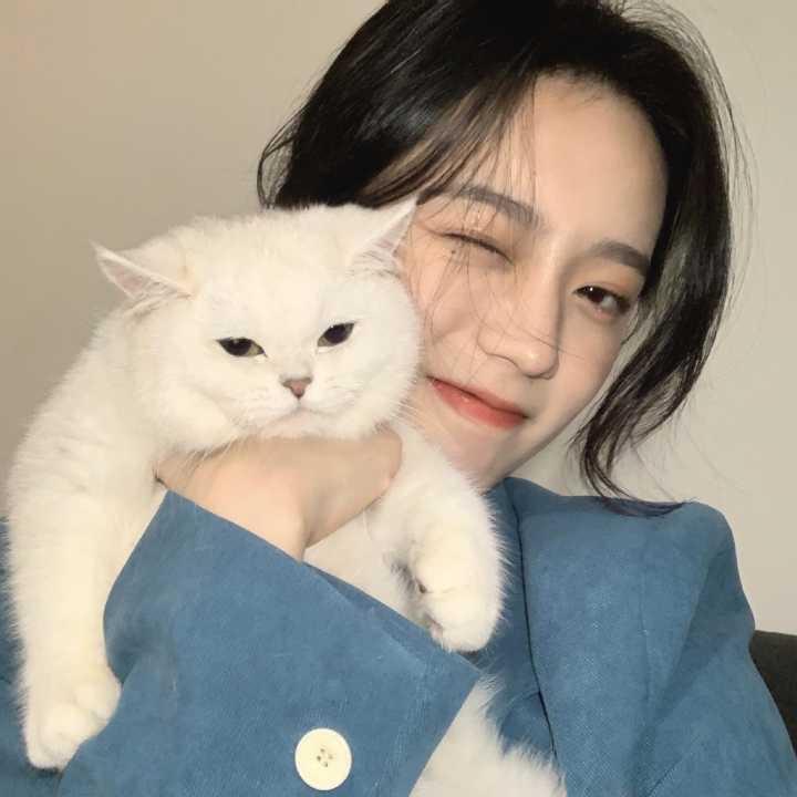说车小姐姐（同款在橱窗）