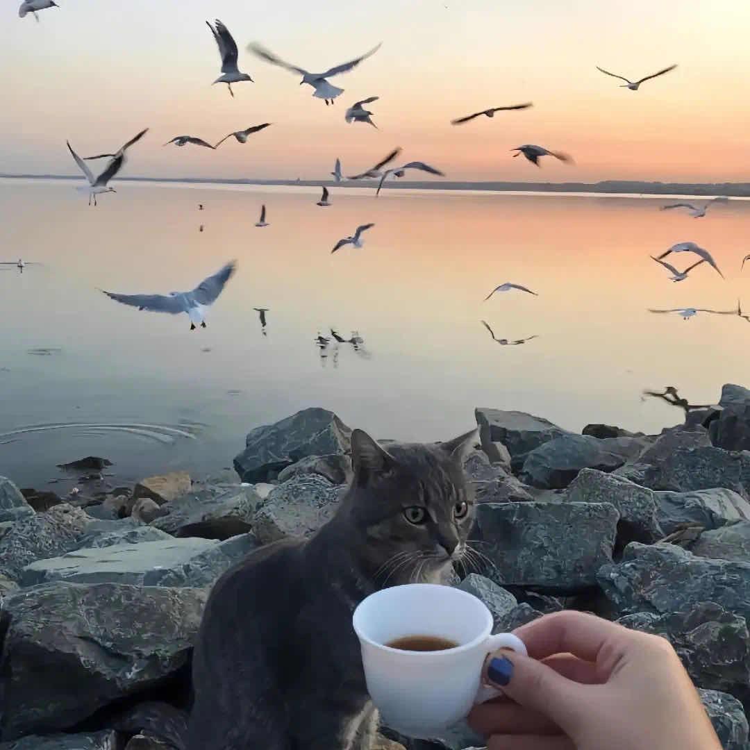 𝓪𝓯𝓯𝓮𝓬𝓽𝓲𝓸𝓷
