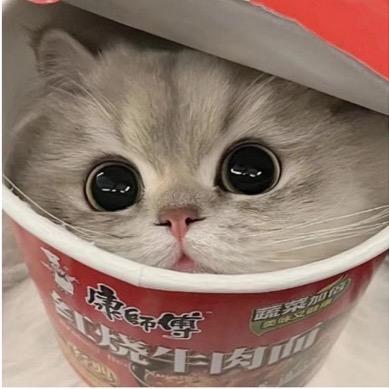 CF赋诗行
