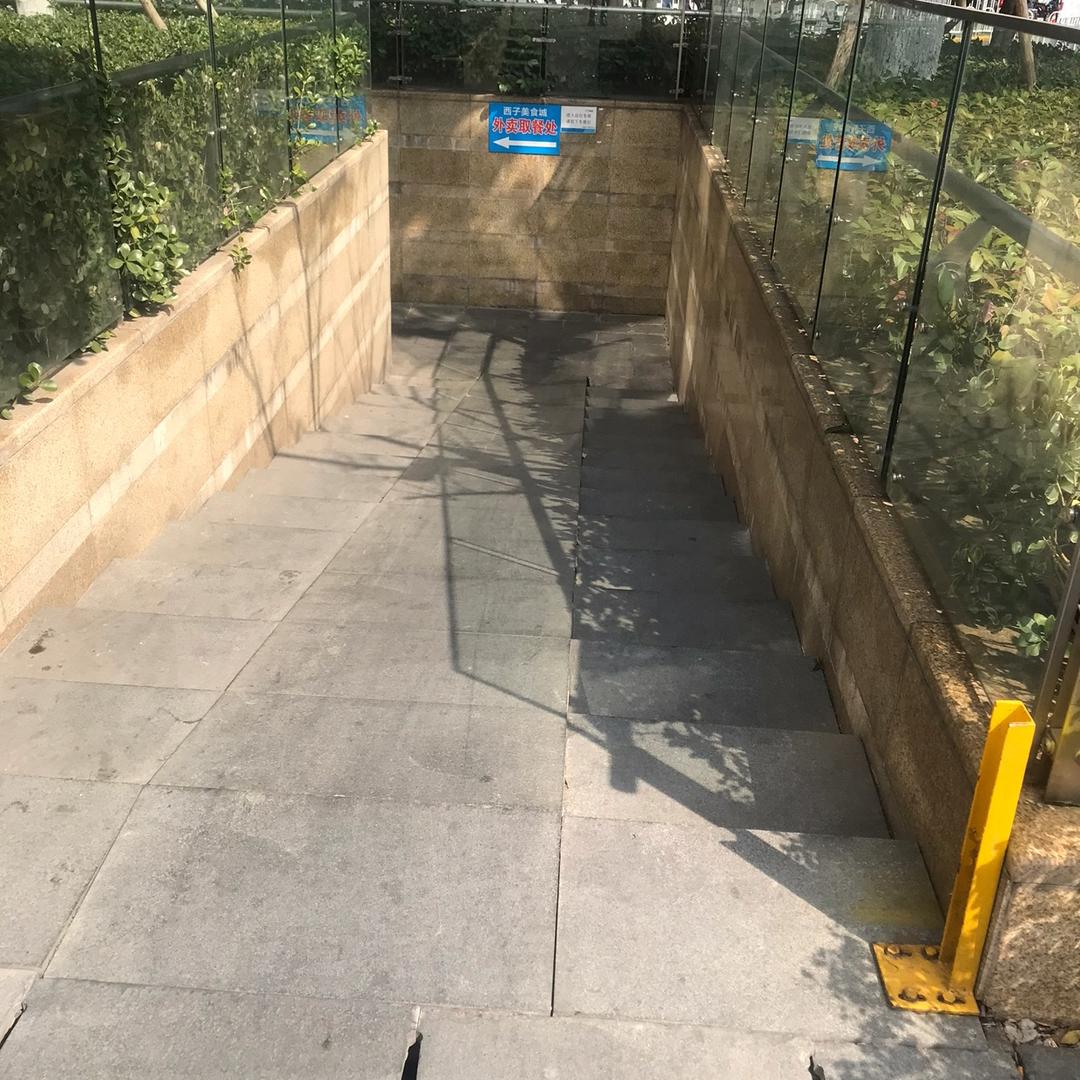 暮色夜色詹不死的小强