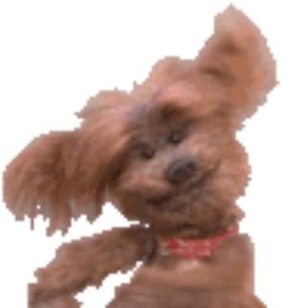 啦啦啦啦
