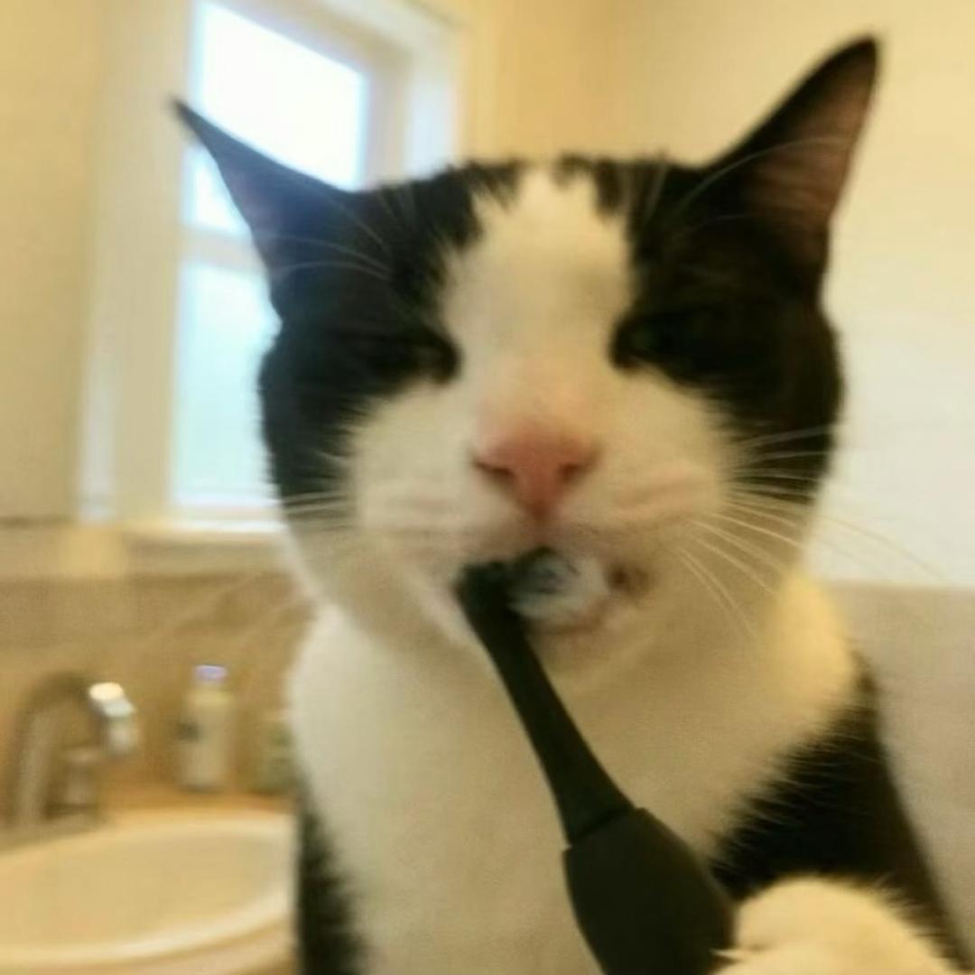 (>_<)