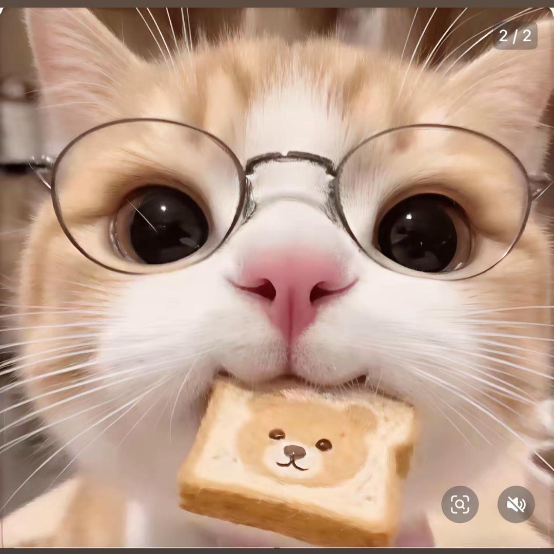 想至创百货优选