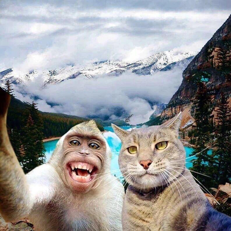 、十三哥