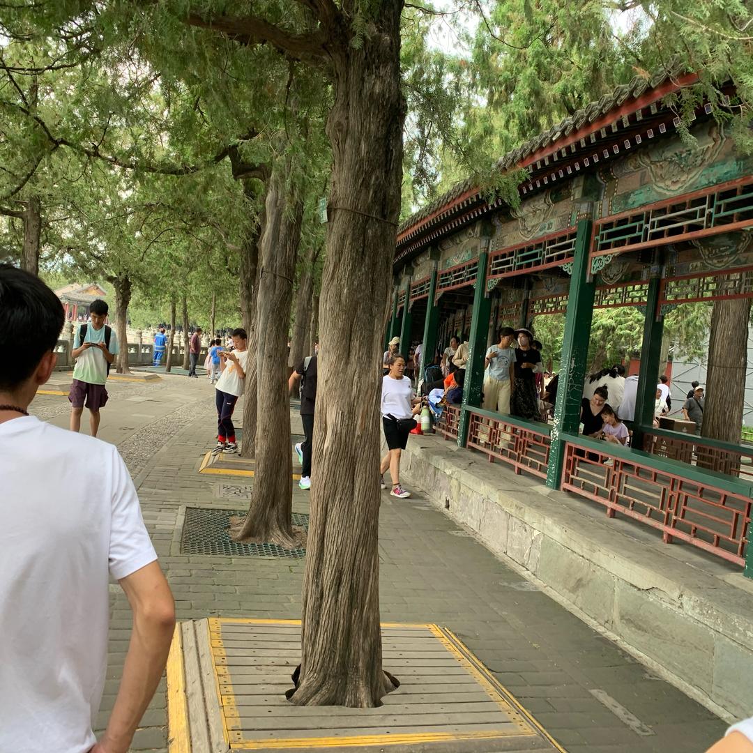 改改改改改改改改