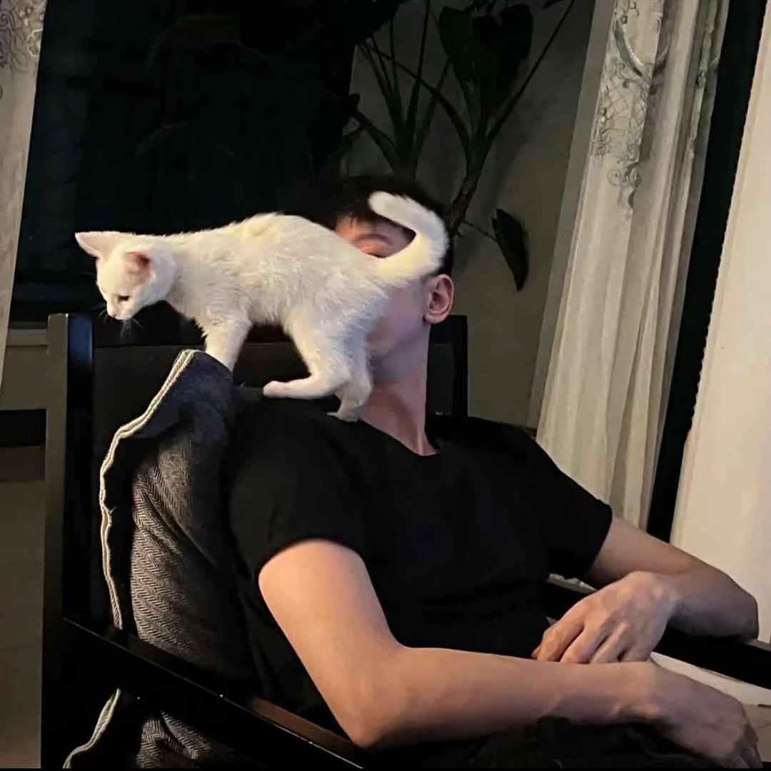 .                  .